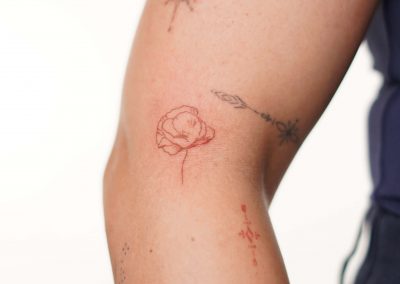 Braune Fineline-Mohnblume