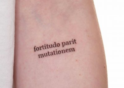 Schriftzug in Serifenschrift