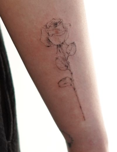 Rosen-Tattoo