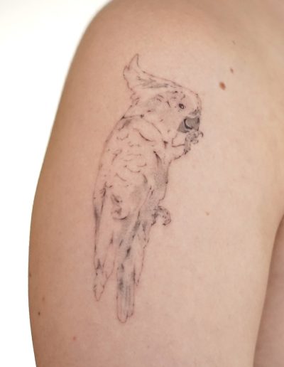 Kakadu-Tattoo